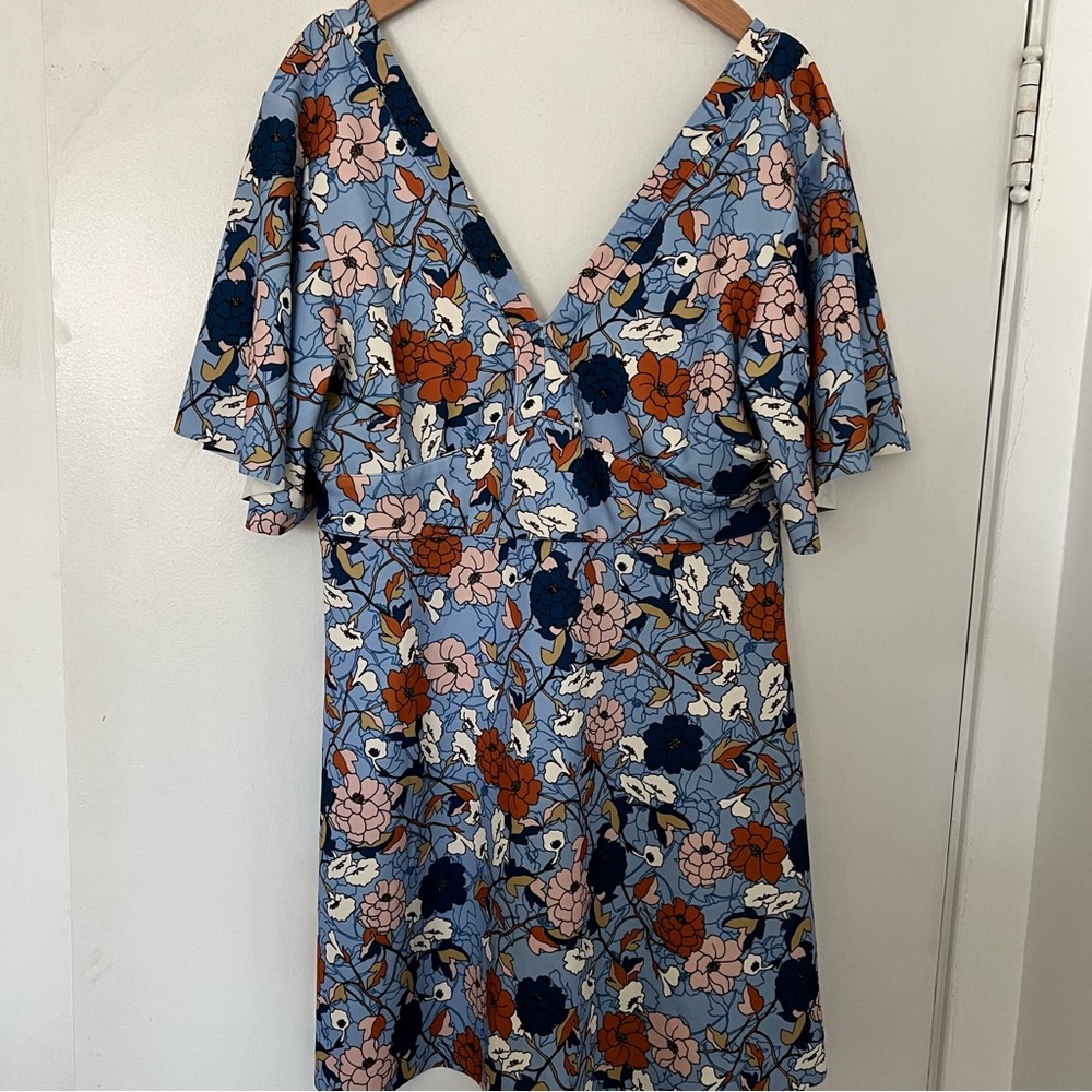 Zara Flutter Sleeve Skater Dress